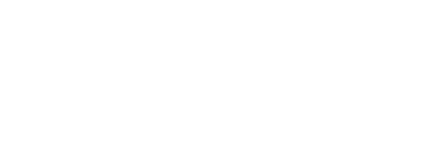 FAMU Logo